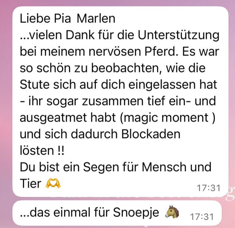 Feedback für Tierreiki Reiki für Tiere - Entspannung für das Pferd und die Besitzerin, Blockaden sanft lösen - Heilung dank Tierreiki, Pia Marlen Ungruh